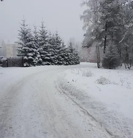 Velago * Zlatibor