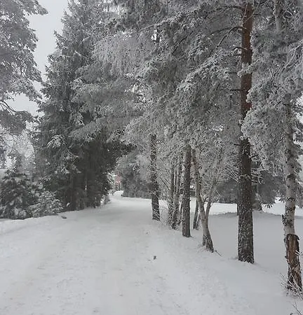 Appartamento Velago *